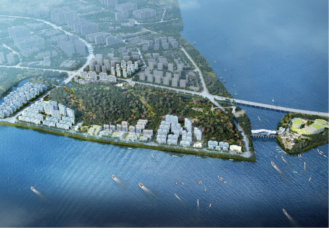 pp���ӡ�(�й�)�ٷ���վ