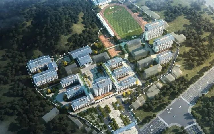 pp���ӡ�(�й�)�ٷ���վ